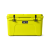 Firefly Yellow