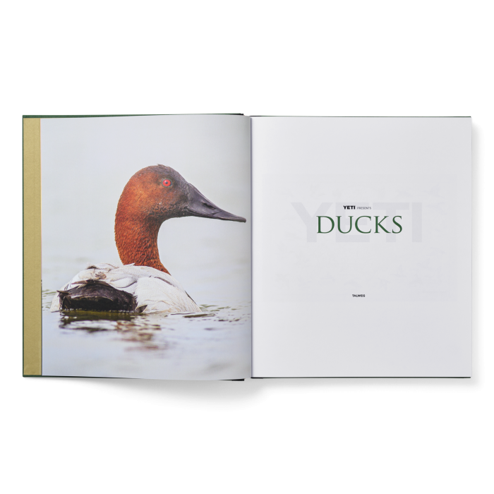 Ducks Coffee Table Book - Image 3