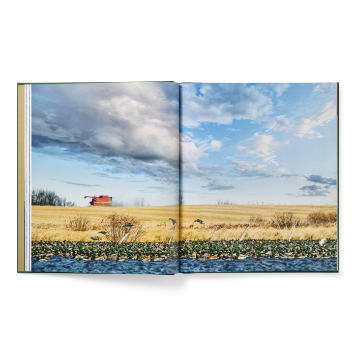 Ducks Coffee Table Book - Image 6